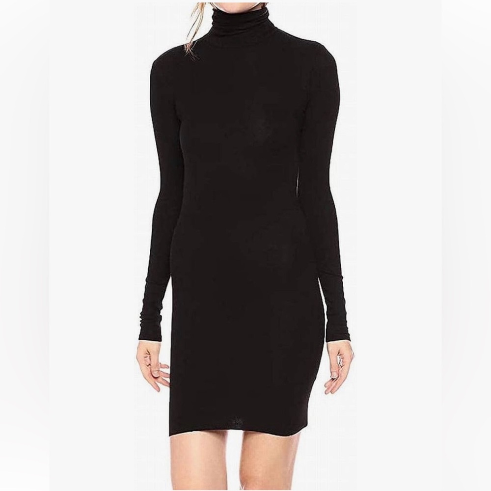 Enza Costa Stretch Silk Rib Long Sleeve Turtleneck Dress